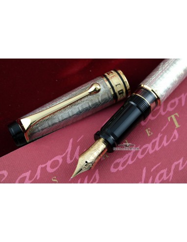 Aurora Carlo Goldoni Limited Edition Fountain Pen Amélioration de cerveau avec