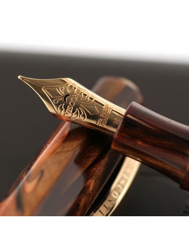 Visconti Medici Fountain Pen w/Rose Gold Trim - M Les magasins à Paris et en Île-de-France