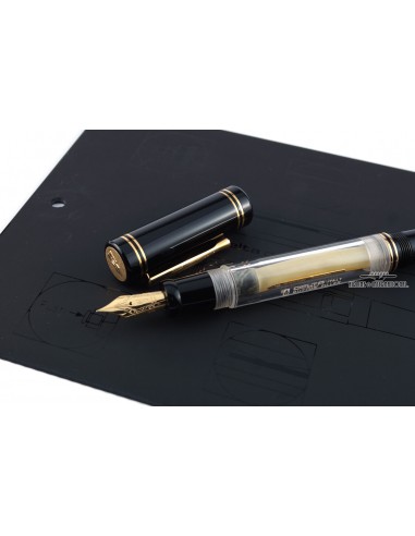 Delta Button Filler Demonstrator Limited Edition Fountain Pen shop