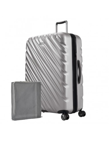 Ricardo Beverly Hills Mojave Large Check-In Spinner Luggage une grave pollution 