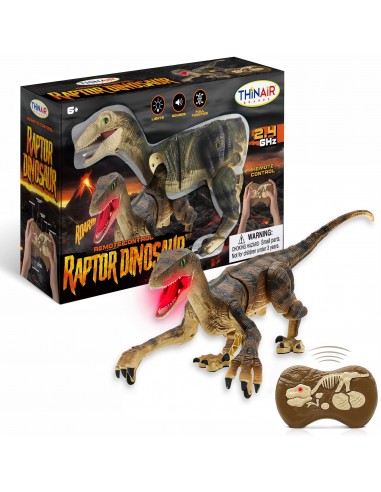 R/C Dinosaur Remote Control Raptor Venez découvrir notre 