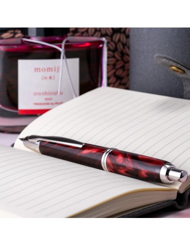 Pilot Vanishing Point SE Fountain Pen | Marble Red (Fine Nib) Comparez plus de prix