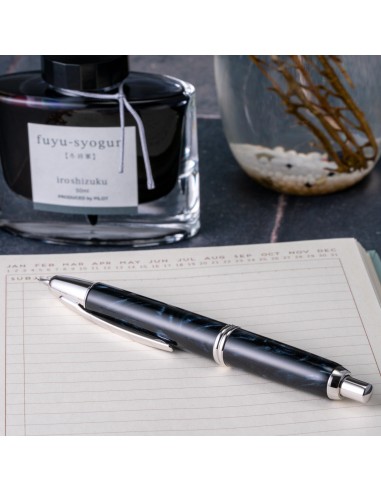 Pilot Vanishing Point SE Fountain Pen | Marble Black (Fine Nib) des créatures d'habitude