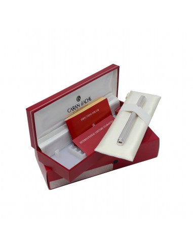 Caran d'Ache Chevron Silver Plated Ecridor  Fountain Pen - Medium Nib l'évolution des habitudes 