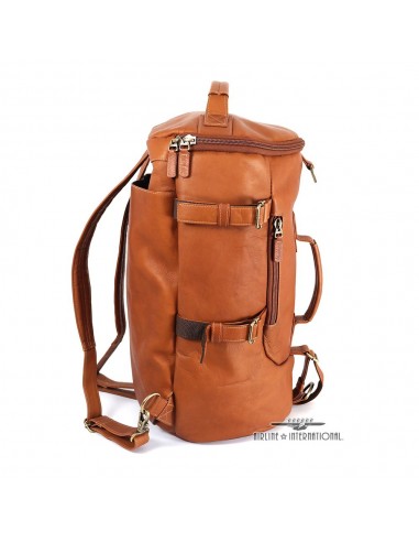 DayTrekr Convertible Duffel/Backpack sur le site 