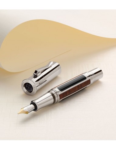 Graf von Faber-Castell Pen of the Year 2016 Schonbrunn, Vienna Fountain Pen - M pas cheres